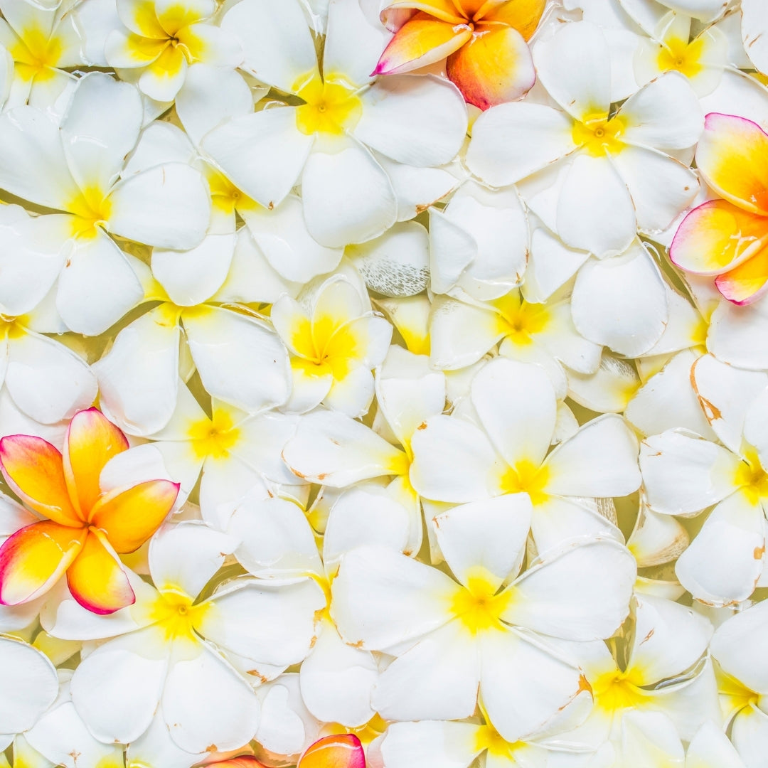 Herbal Scented Car Fragrance