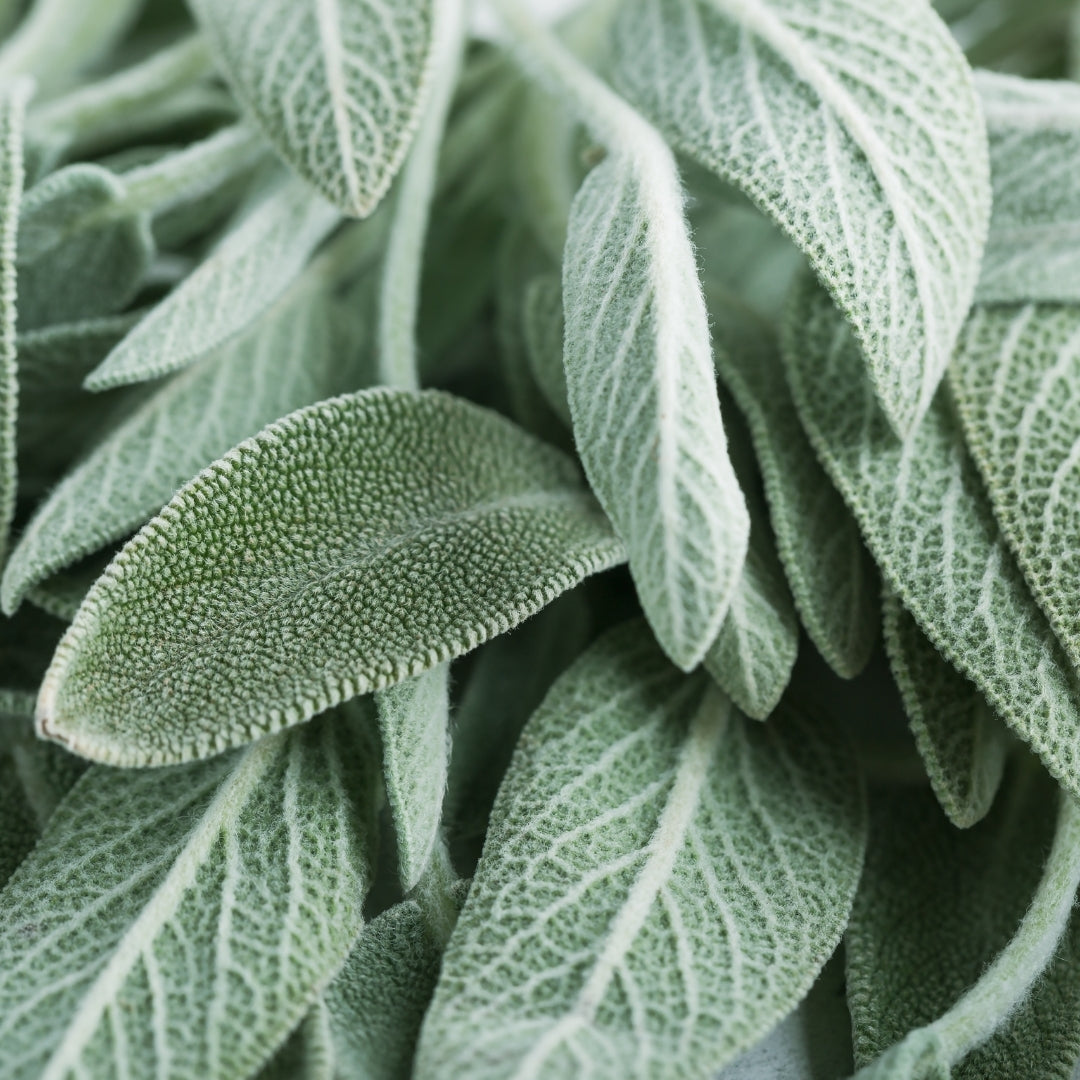Herbal Scented Car Fragrance