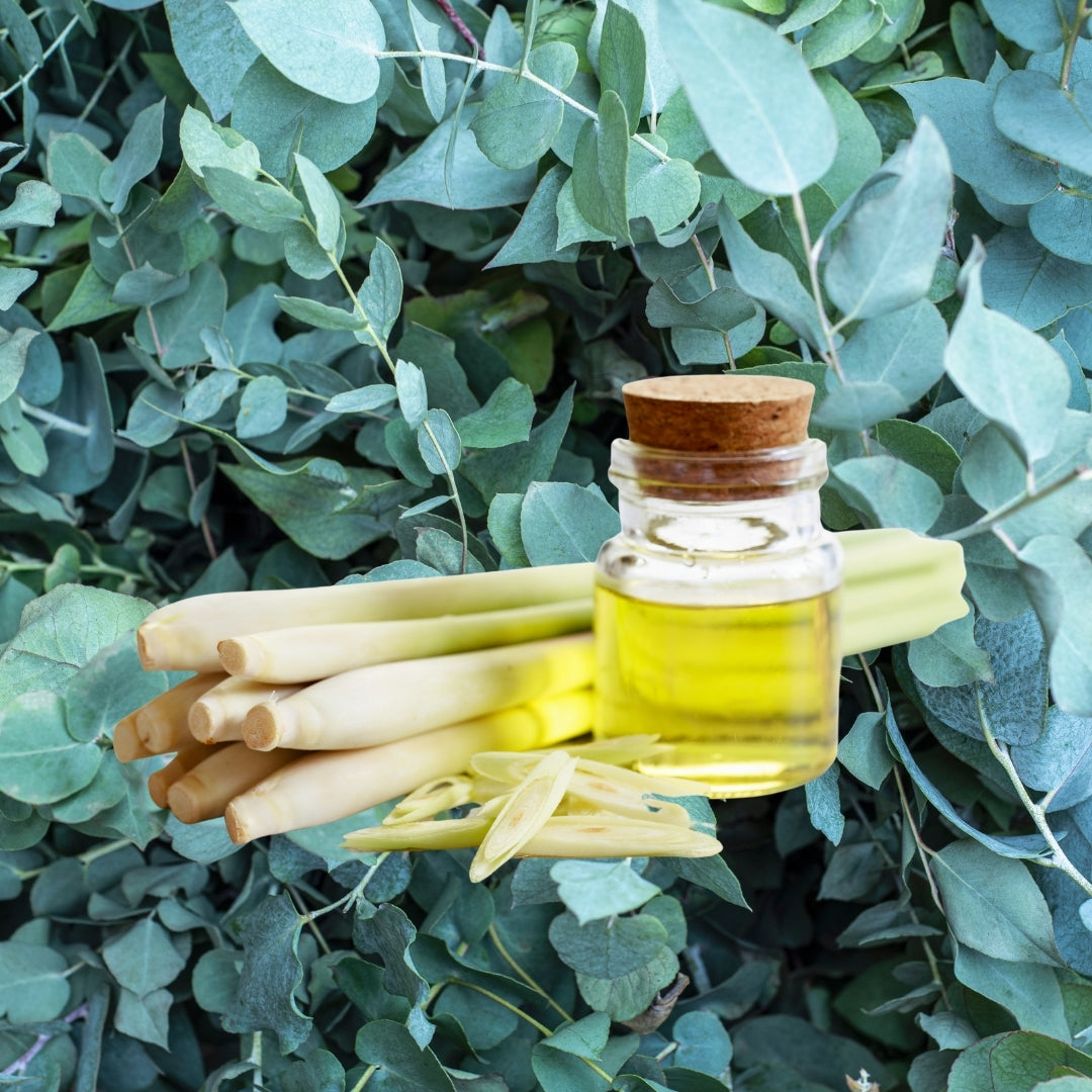 Herbal Scented Car Fragrance