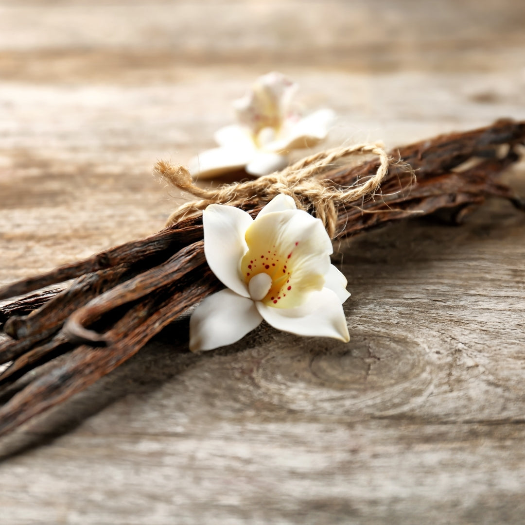 Sweet Treat Scented Car Fragrance