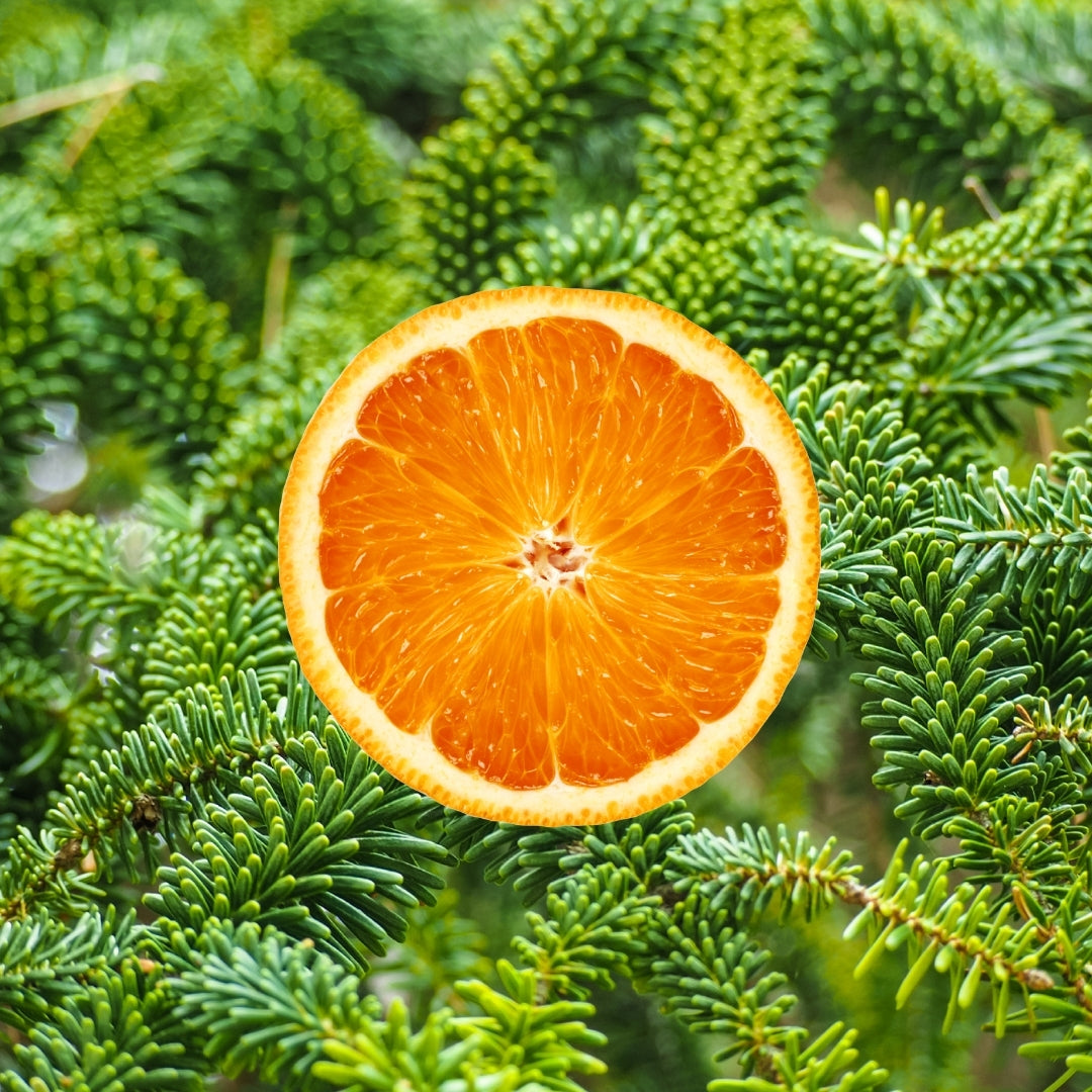 Holiday Scented Home Fragrance